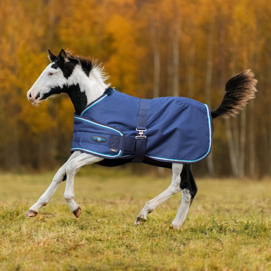 1200D Adjustable Foal 180G Medium Weight Winter Turnout Blanket - Waterproof & Breathable
