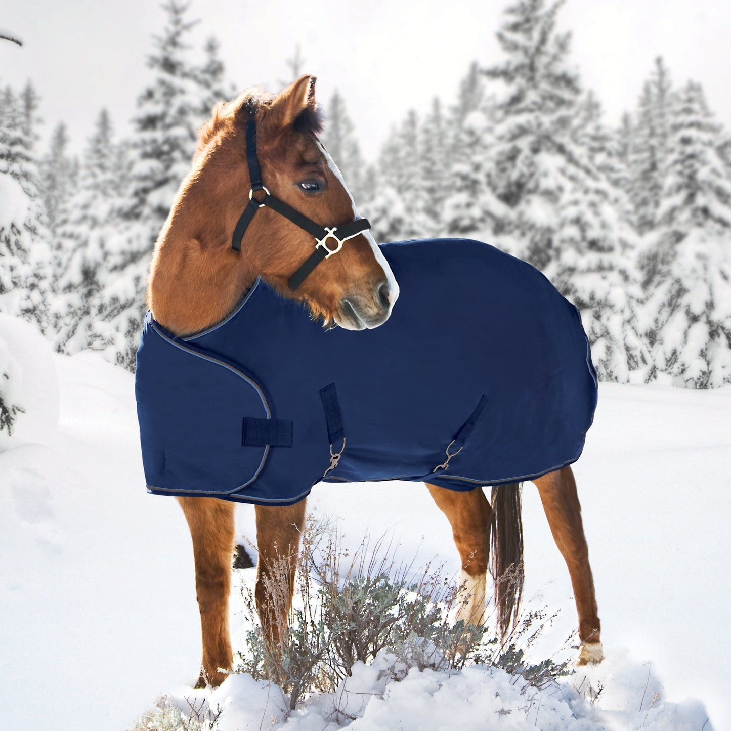 1200D 180G Medium Weight Waterproof & Breathable Adjustable Weanling Winter Turnout Blanket