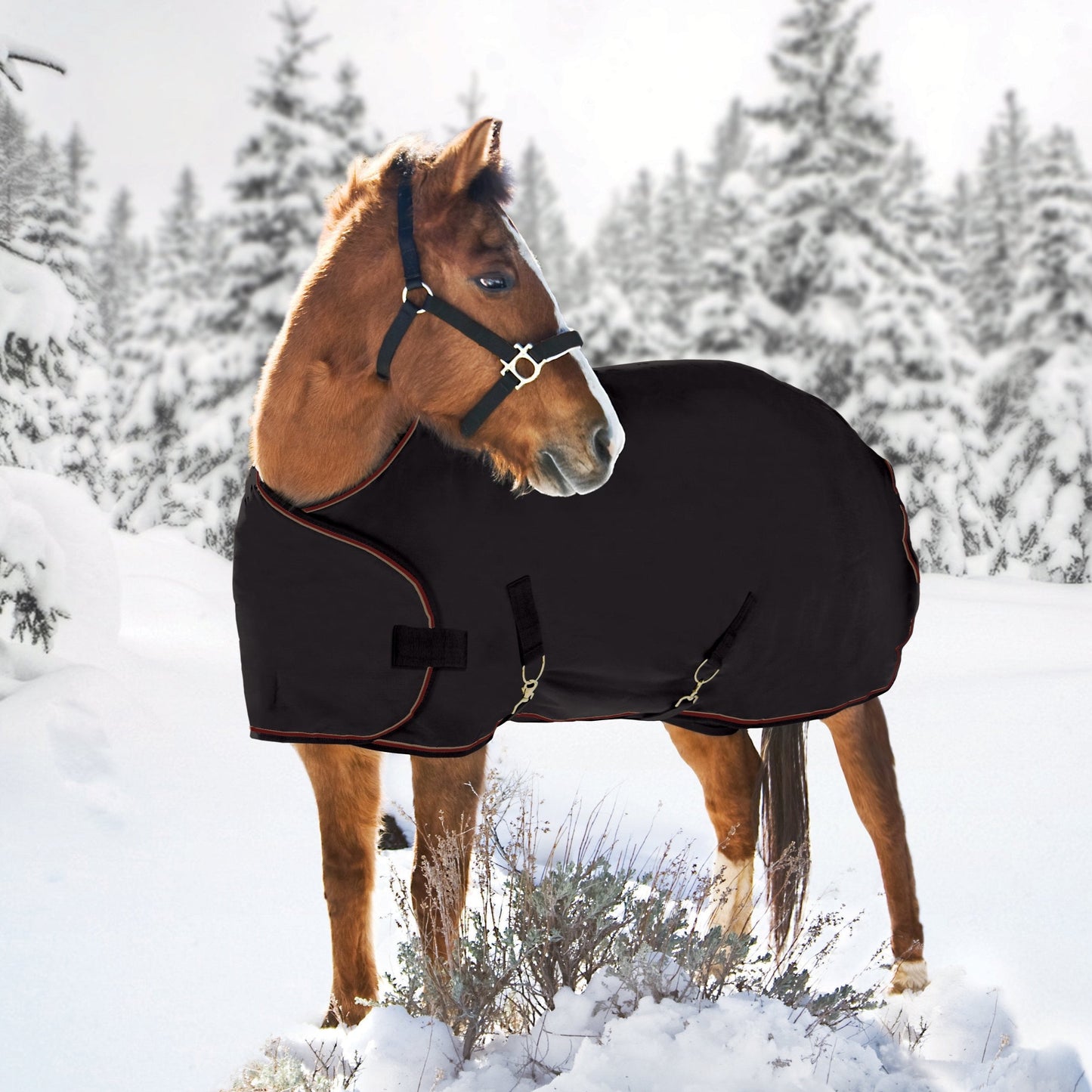 1200D 180G Medium Weight Waterproof & Breathable Adjustable Weanling Winter Turnout Blanket