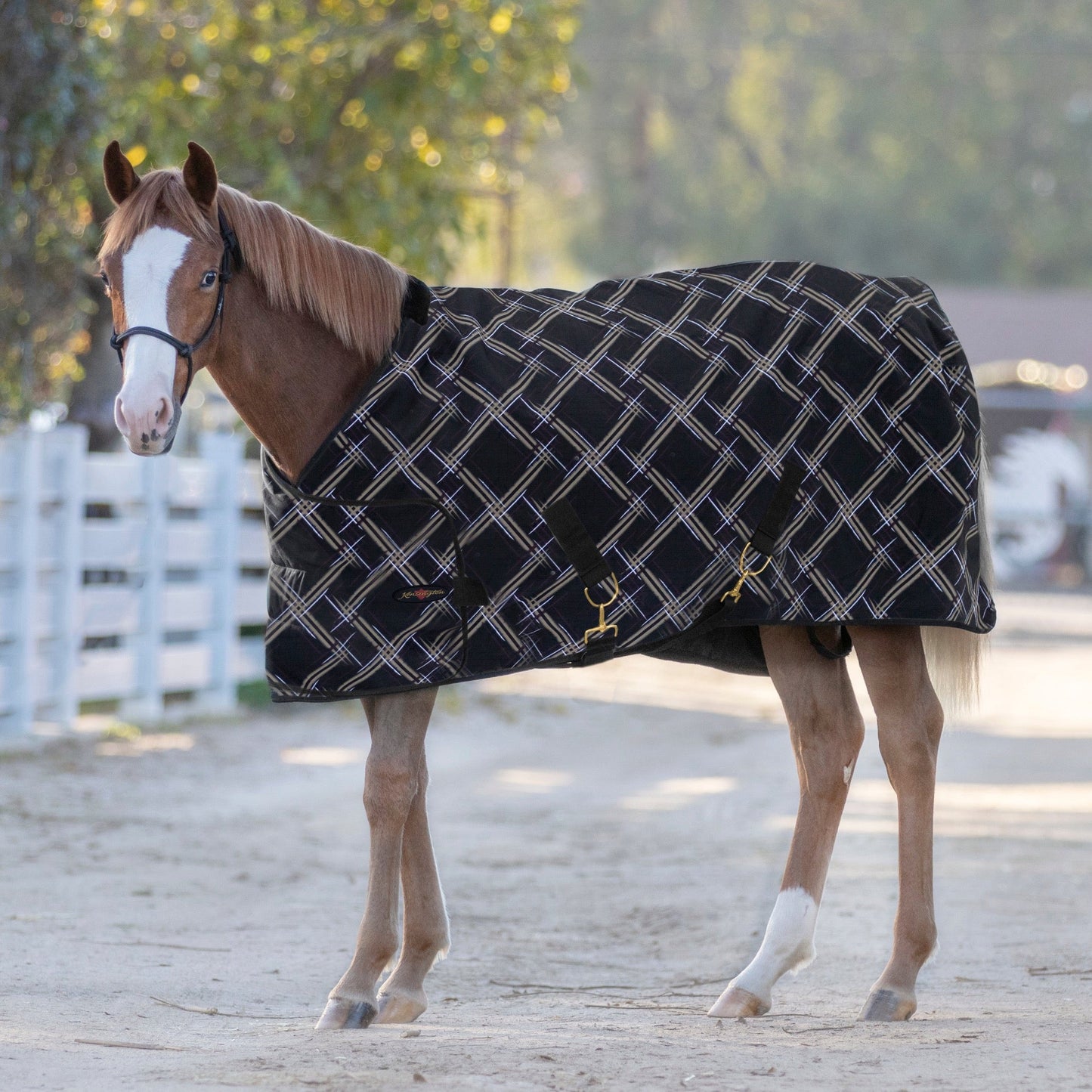 1200D 180G Medium Weight Waterproof & Breathable Adjustable Weanling Winter Turnout Blanket