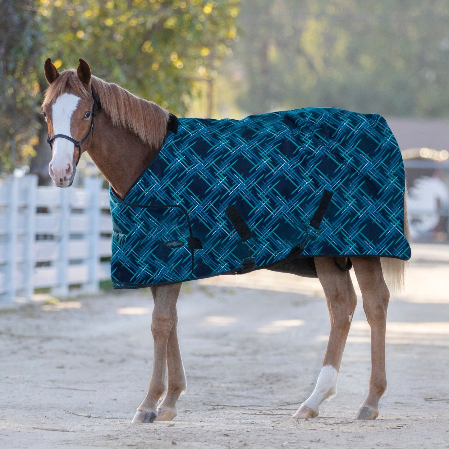 1200D 180G Medium Weight Waterproof & Breathable Adjustable Weanling Winter Turnout Blanket