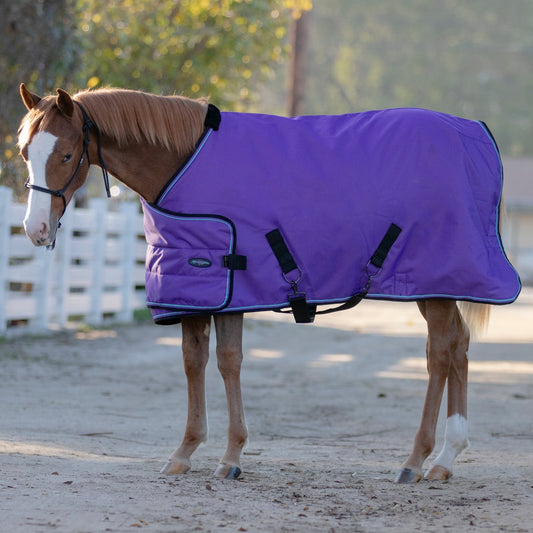 1200D Adjustable Weanling 180G Medium Weight Winter Turnout Blanket - Waterproof & Breathable