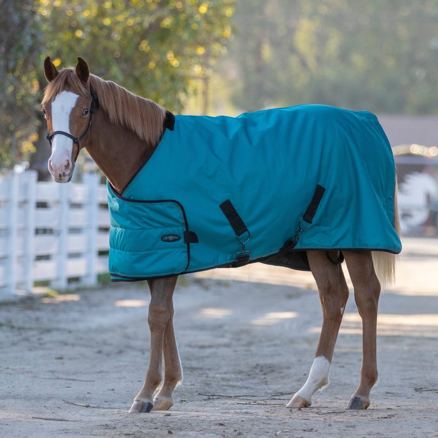 1200D 180G Medium Weight Waterproof & Breathable Adjustable Weanling Winter Turnout Blanket
