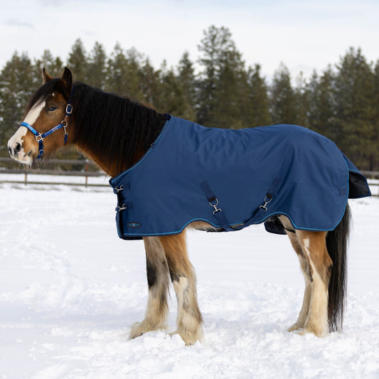 Draft Horse Midweight 180g Winter Turnout Blanket - Waterproof & Breathable