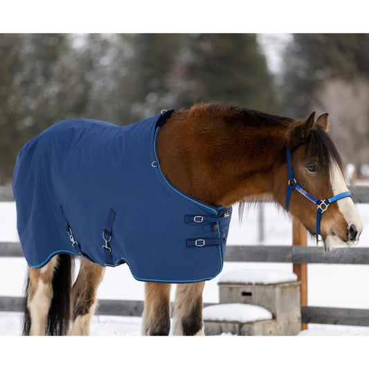 Draft Horse Heavyweight 300g Winter Turnout Blanket - Waterproof & Breathable