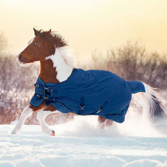 Pony Heavyweight 300g Horse Winter Turnout Blanket - Waterproof & Breathable