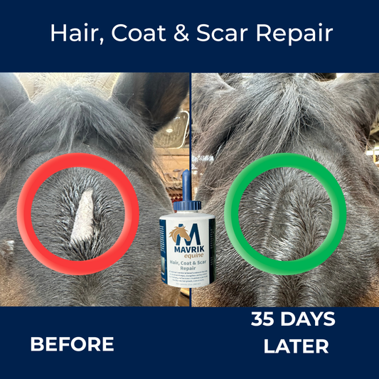 MAVRIK Hair, Coat and Scar Repair | Hair Regrowth Oil