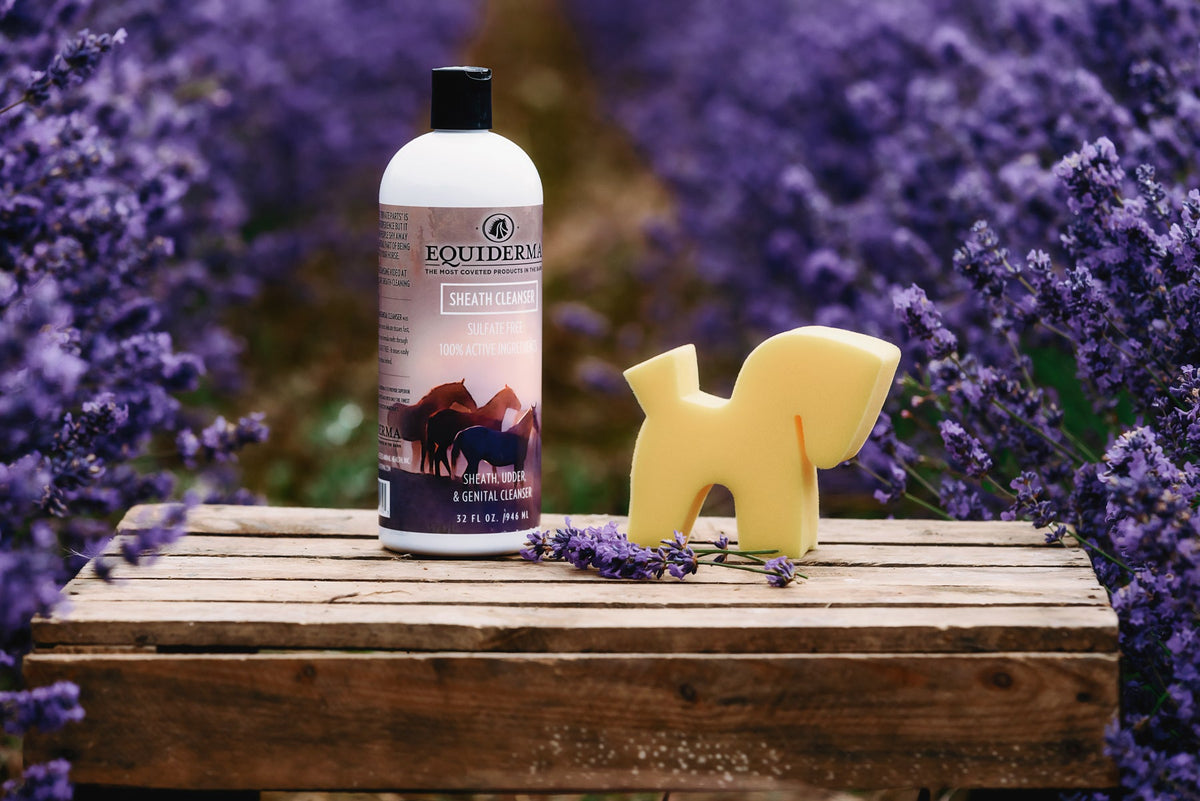 Sheath & Udder Cleanser