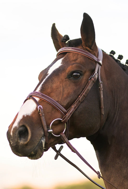 Kendall Bridle & Reins set