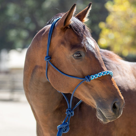 Clinician Training Rope Halter with Braided Nose