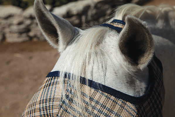 Fly Mask with Fleece Trim & 73% UV Protection - Open Top Design