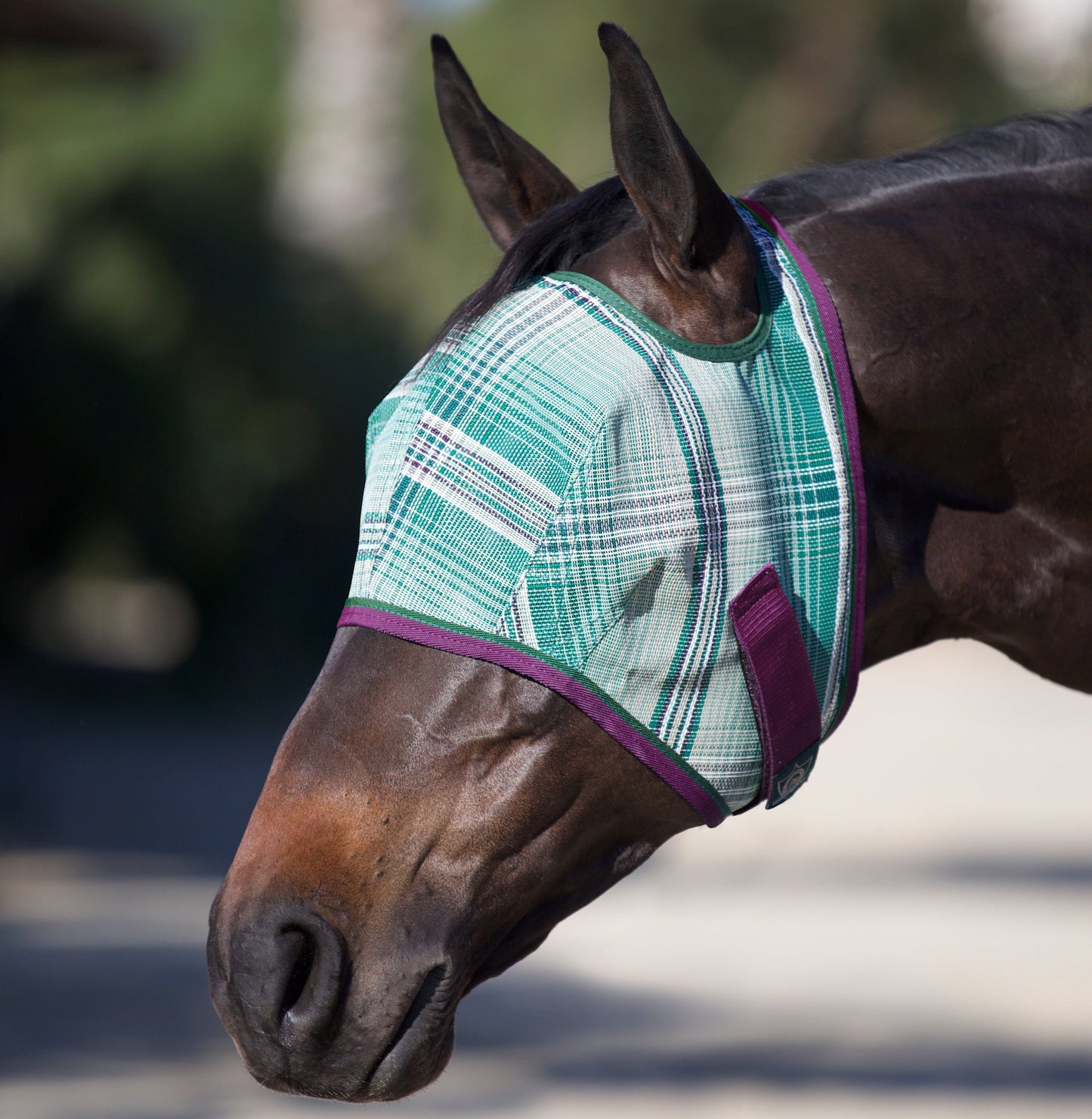 Fly Mask with 73% UV Protection - Open Top Design