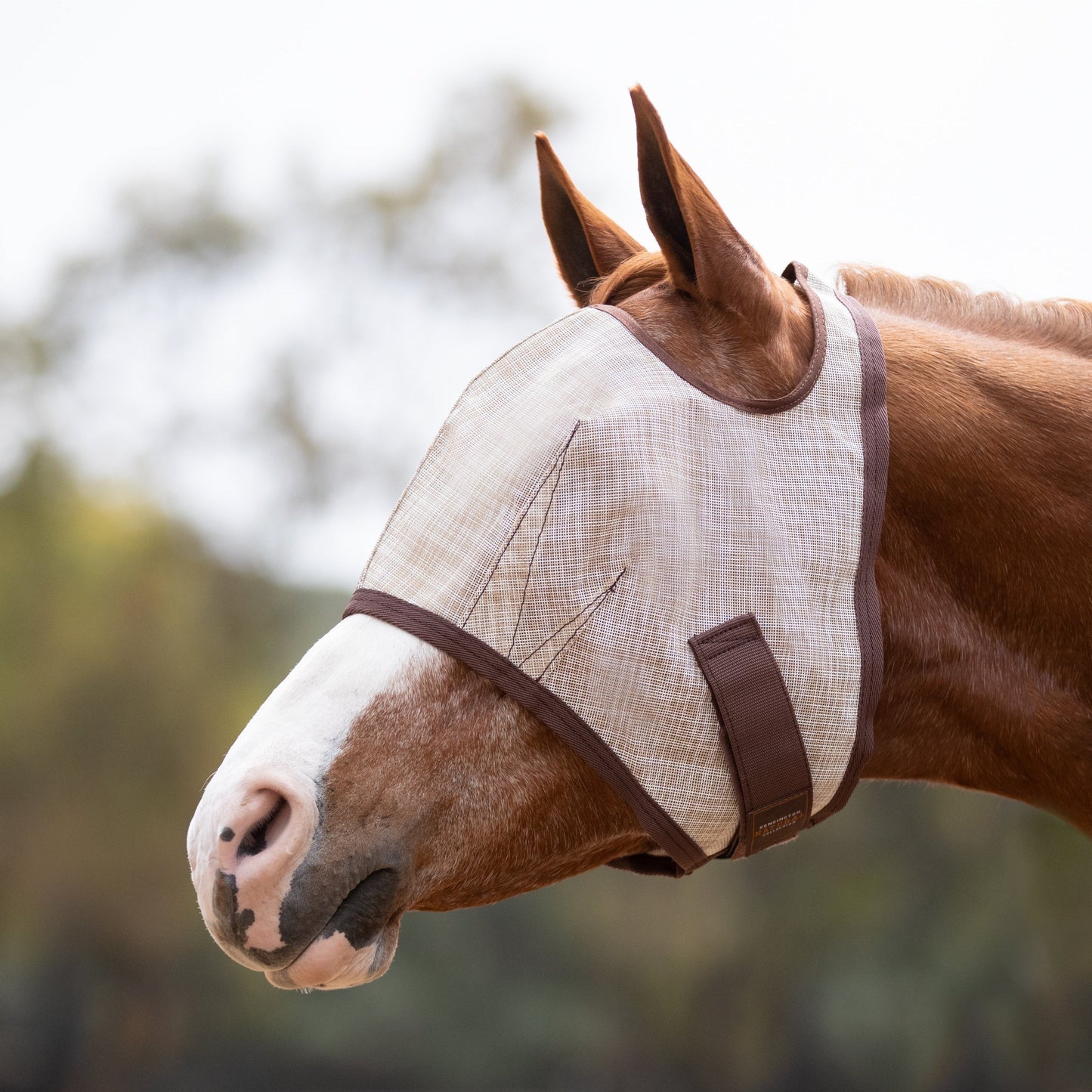 Fly Mask with 73% UV Protection - Open Top Design
