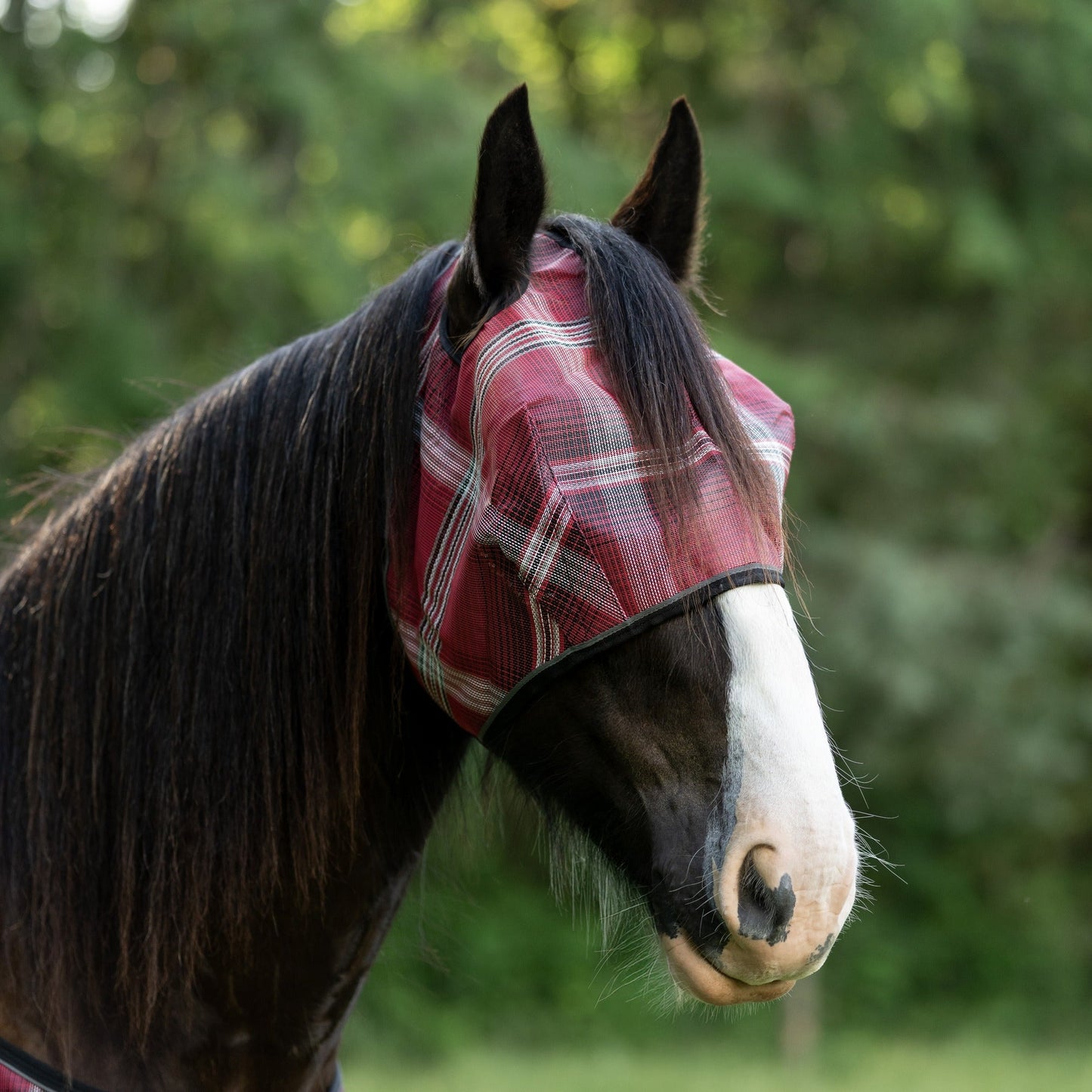 Draft Horse Fly Mask with 73% UV Protection