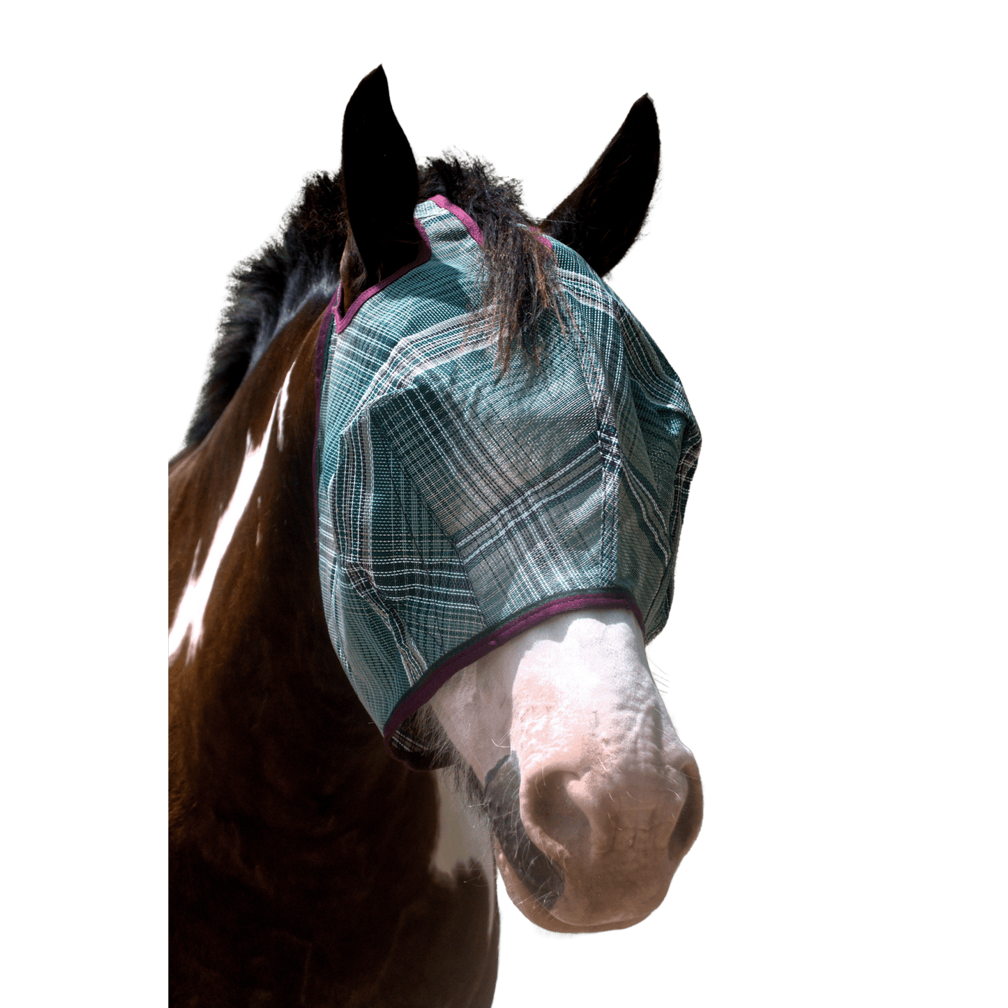 Draft Horse Fly Mask with 73% UV Protection