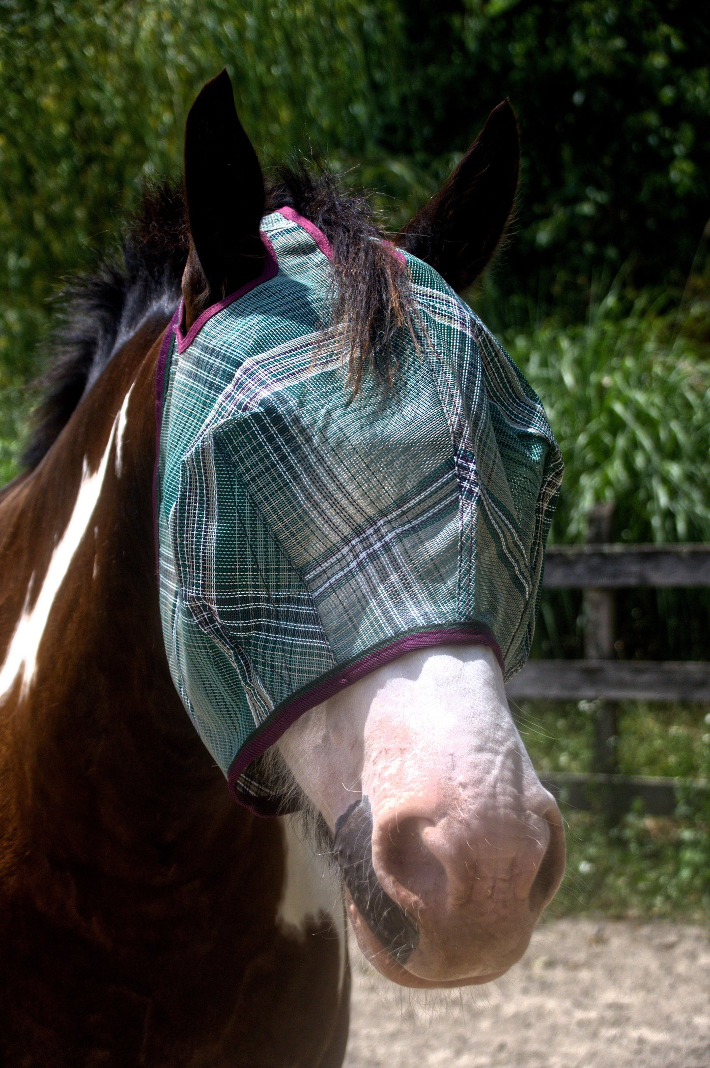 Draft Horse Fly Mask with 73% UV Protection
