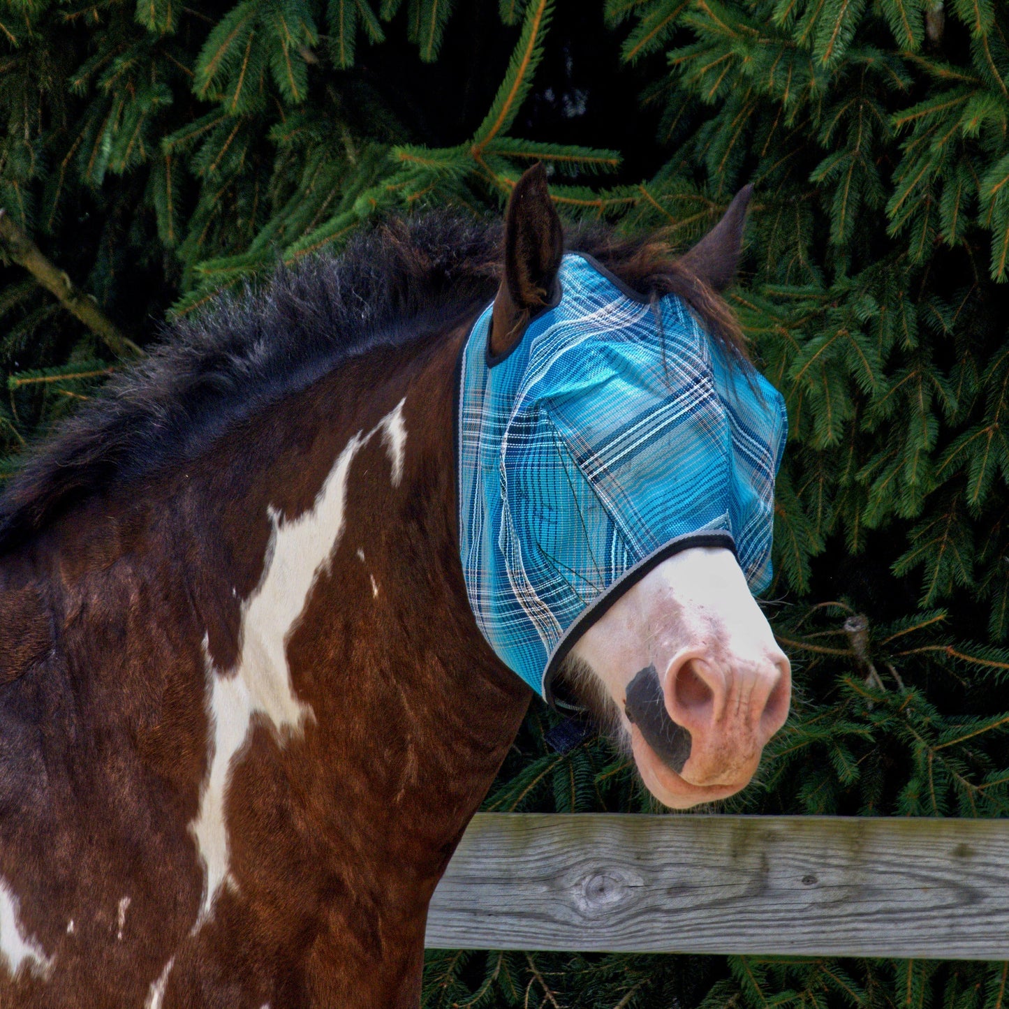 Draft Horse Fly Mask with 73% UV Protection