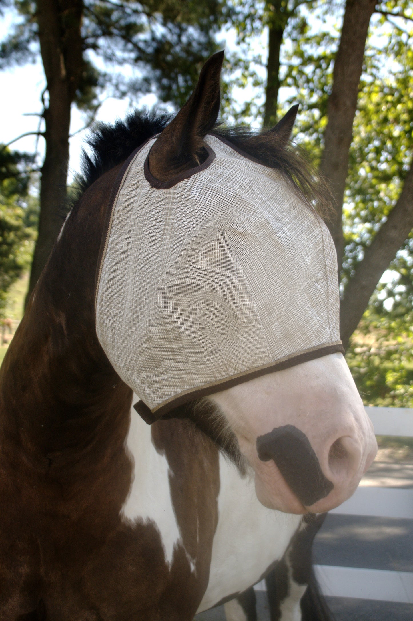 Draft Horse Fly Mask with 73% UV Protection