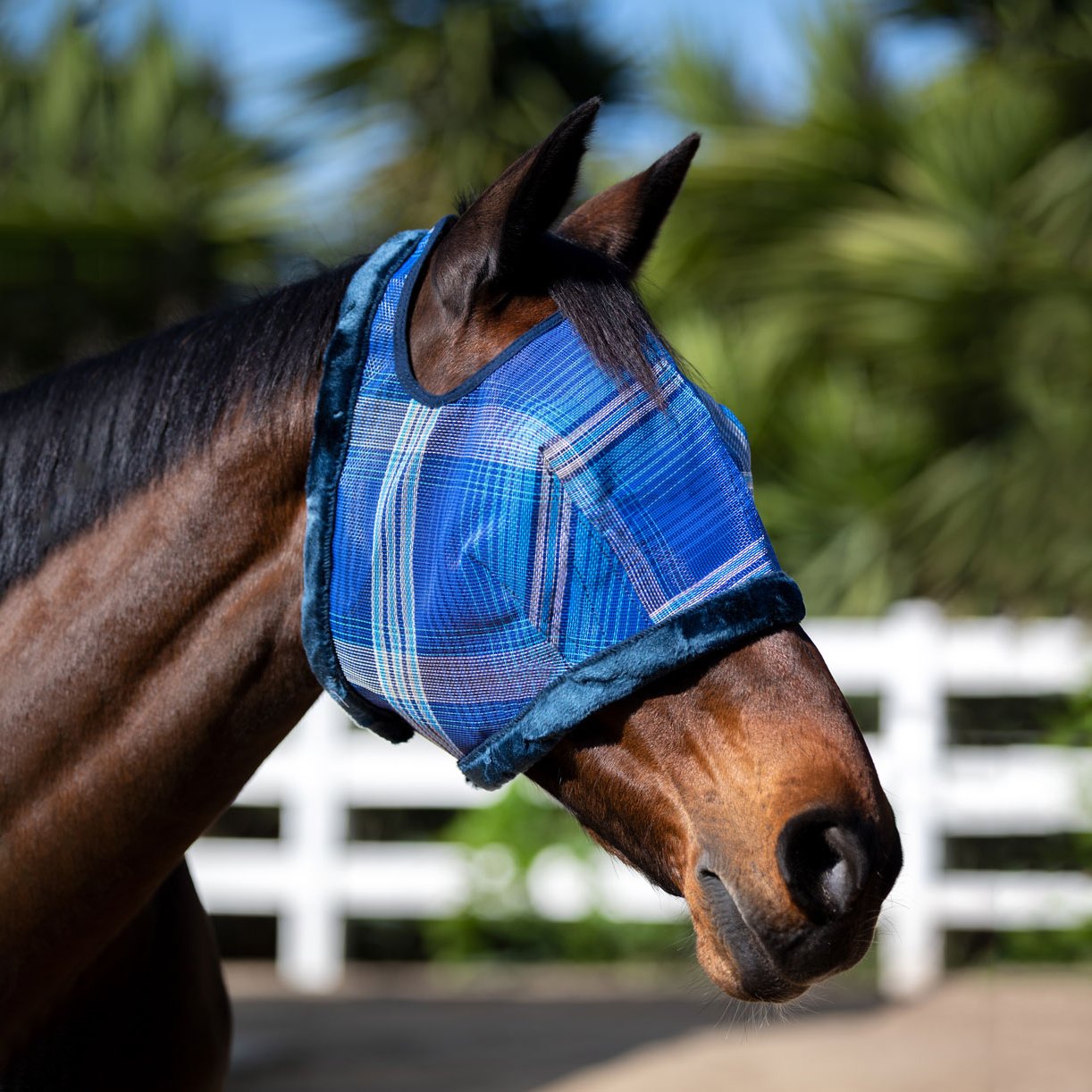 Fly Mask with Fleece Trim & 73% UV Protection - Open Top Design