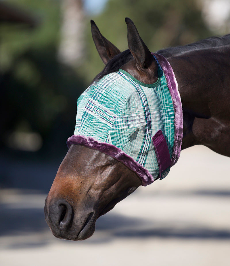 Fly Mask with Fleece Trim & 73% UV Protection - Open Top Design