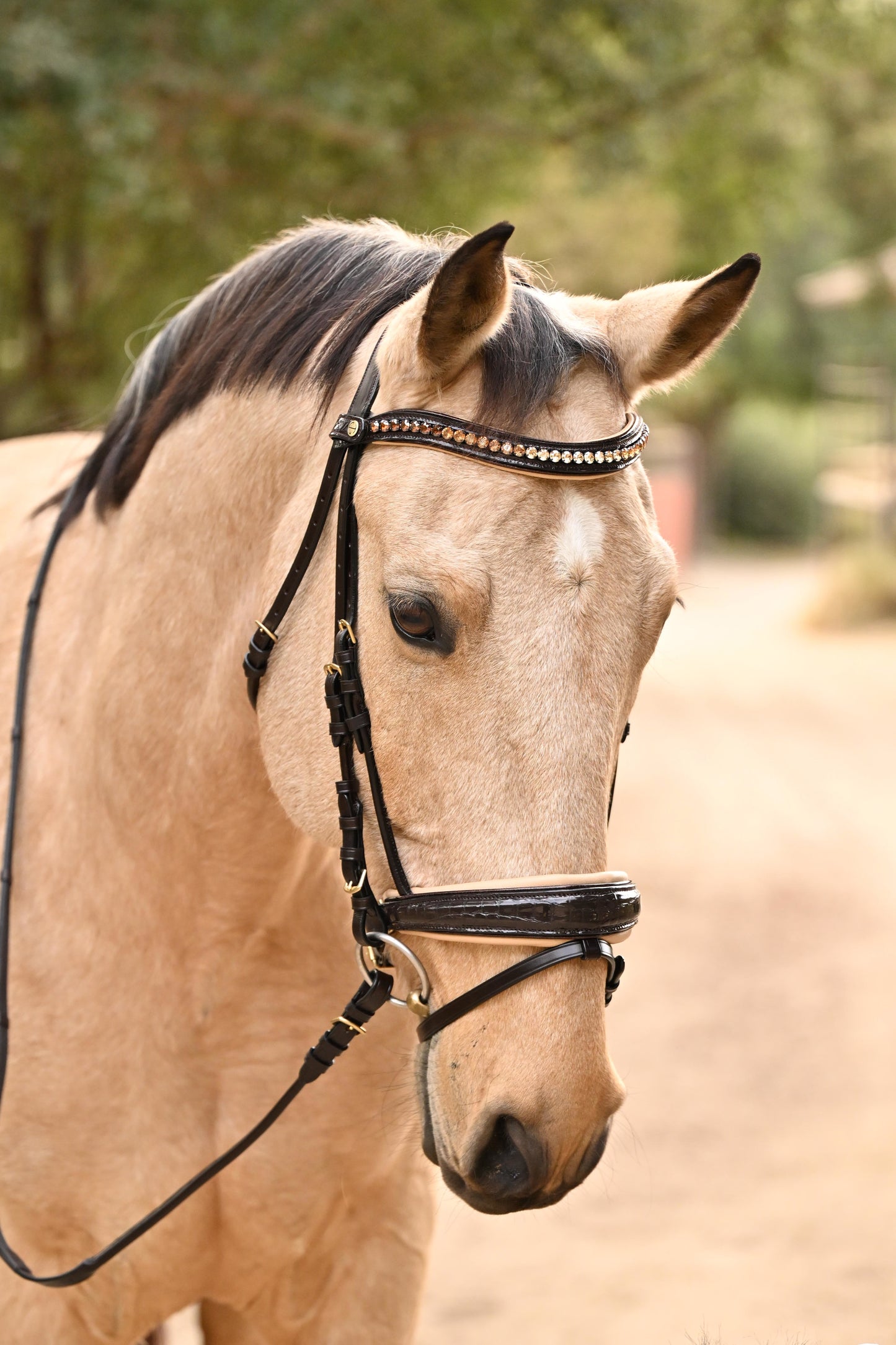 The Vienna Brown Patent Leather Snaffle Bridle with Bronze Golden Sparkle Piping