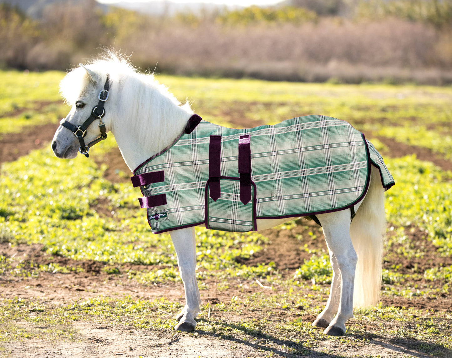 Mini Protective Fly Sheet with Belly Band - 73% UV Protection