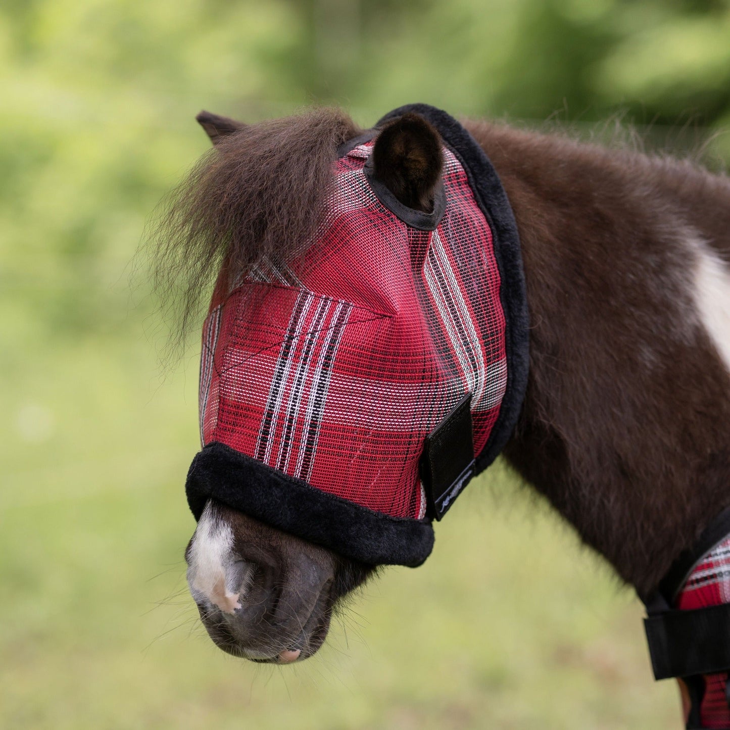 Mini Fly Mask with Fleece Trim & Ears - 73% UV Blocking