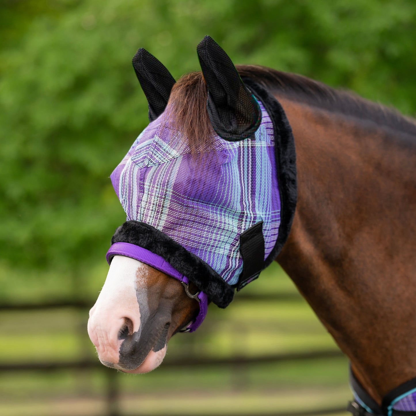 Mini Fly Mask with Fleece Trim & Ears - 73% UV Blocking