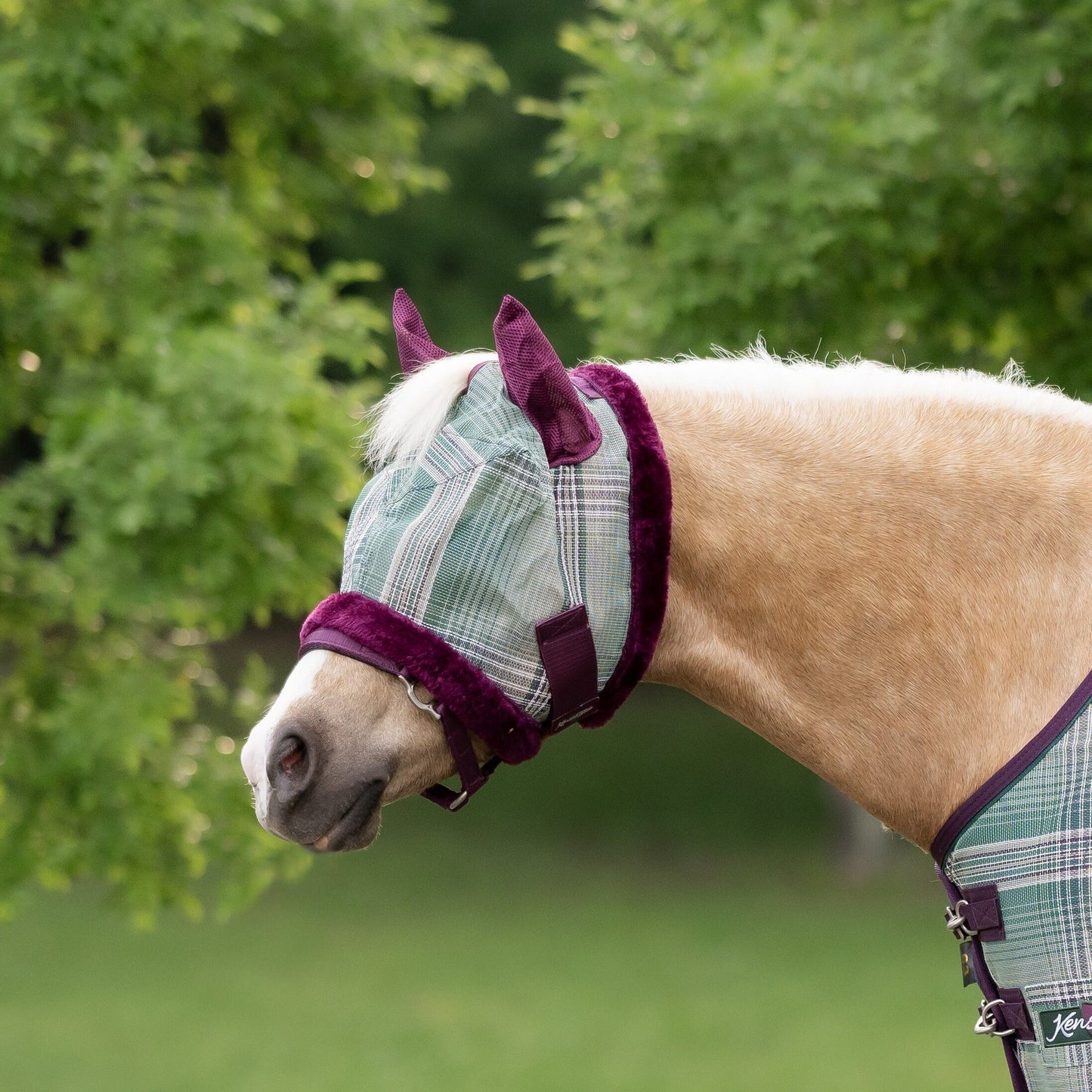 Mini Fly Mask with Fleece Trim & Ears - 73% UV Blocking