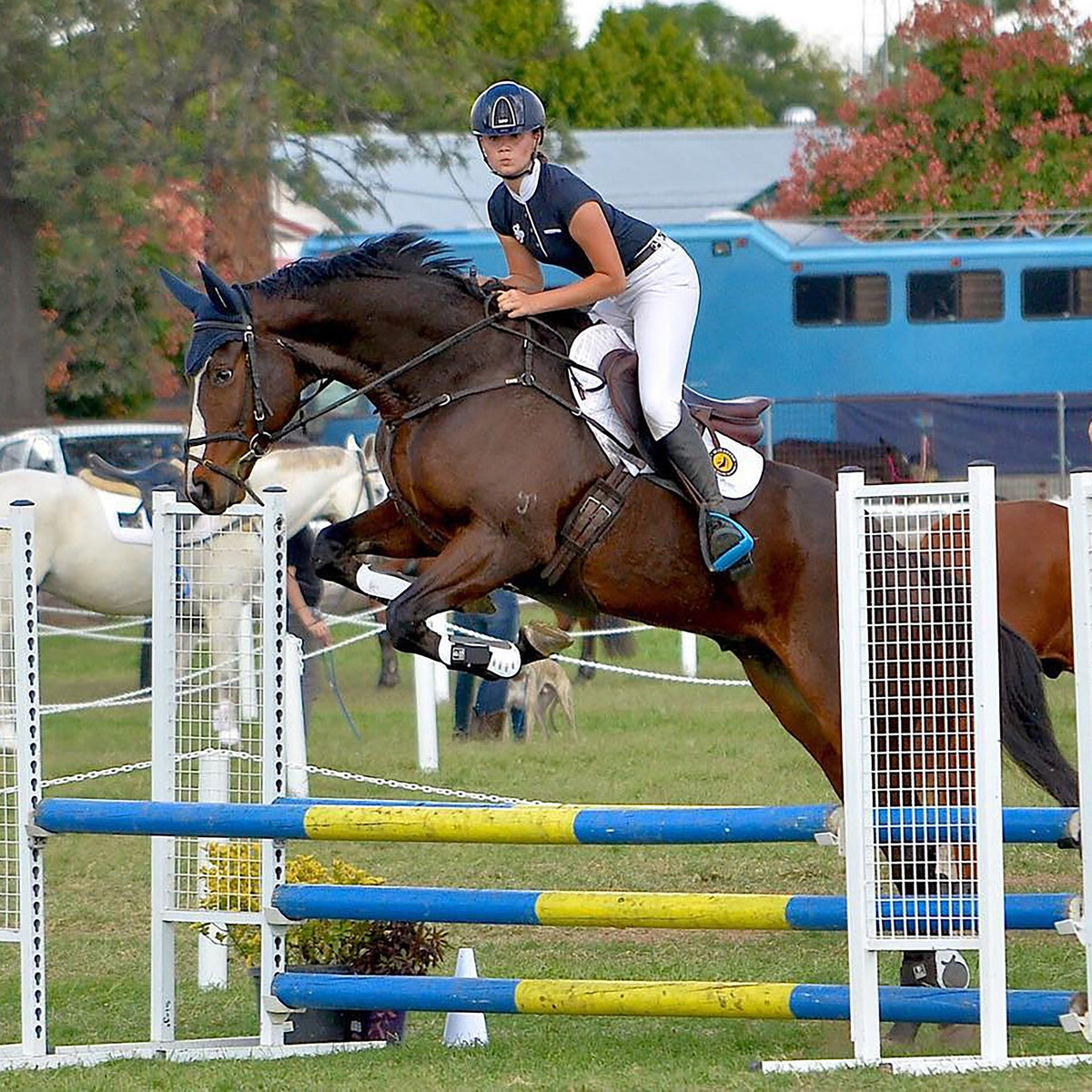 Infinity Fetlock Boots with ARTi-LAGE Technology (FEI Young Horse Compliant)