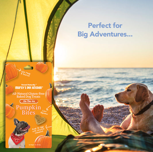 Marcy's Pet Kitchen® - 'On-The-Go' All-Natural, Vegan Pumpkin Biscuit 1oz