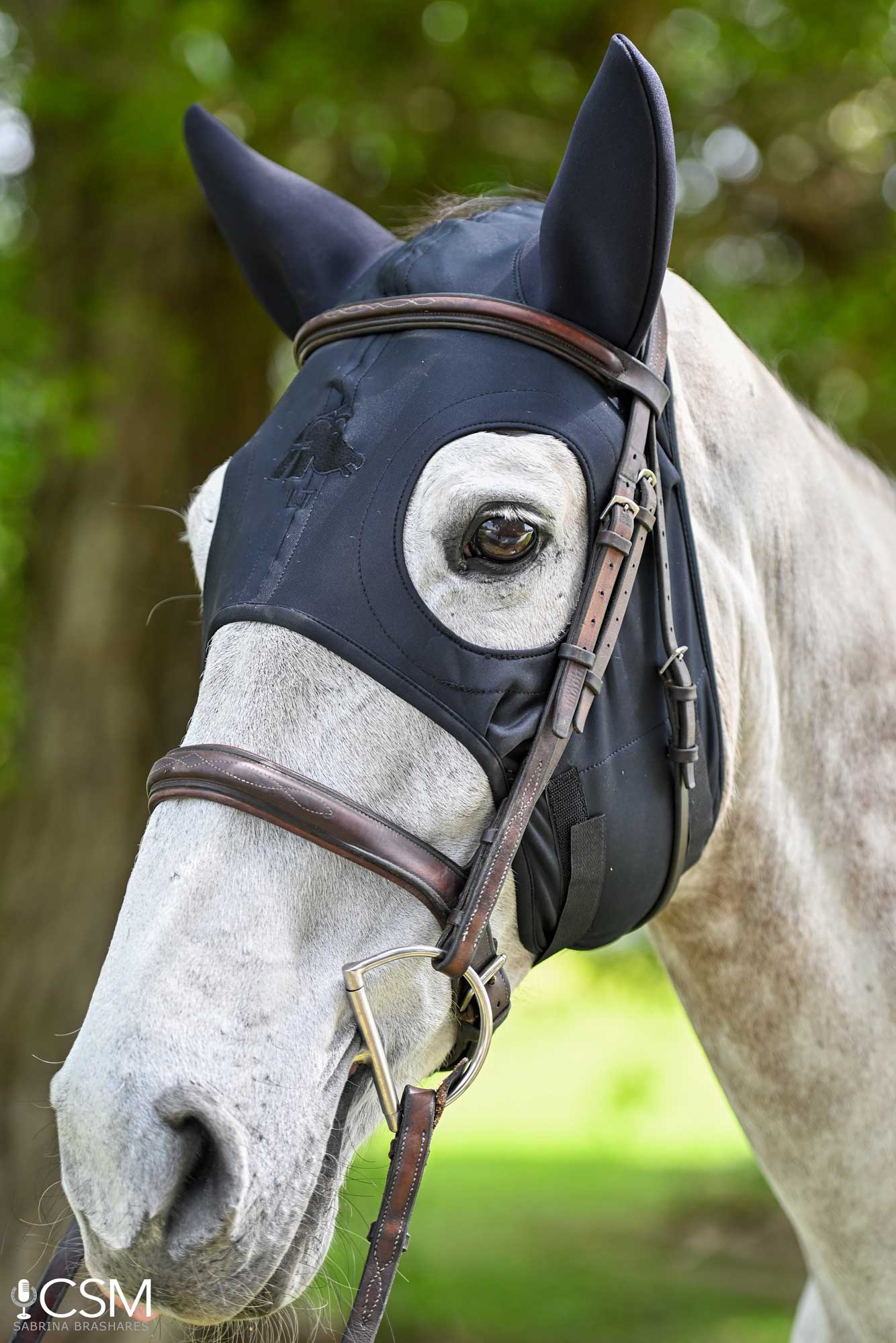 LT® Horse Mask with Sound Reducing Ears