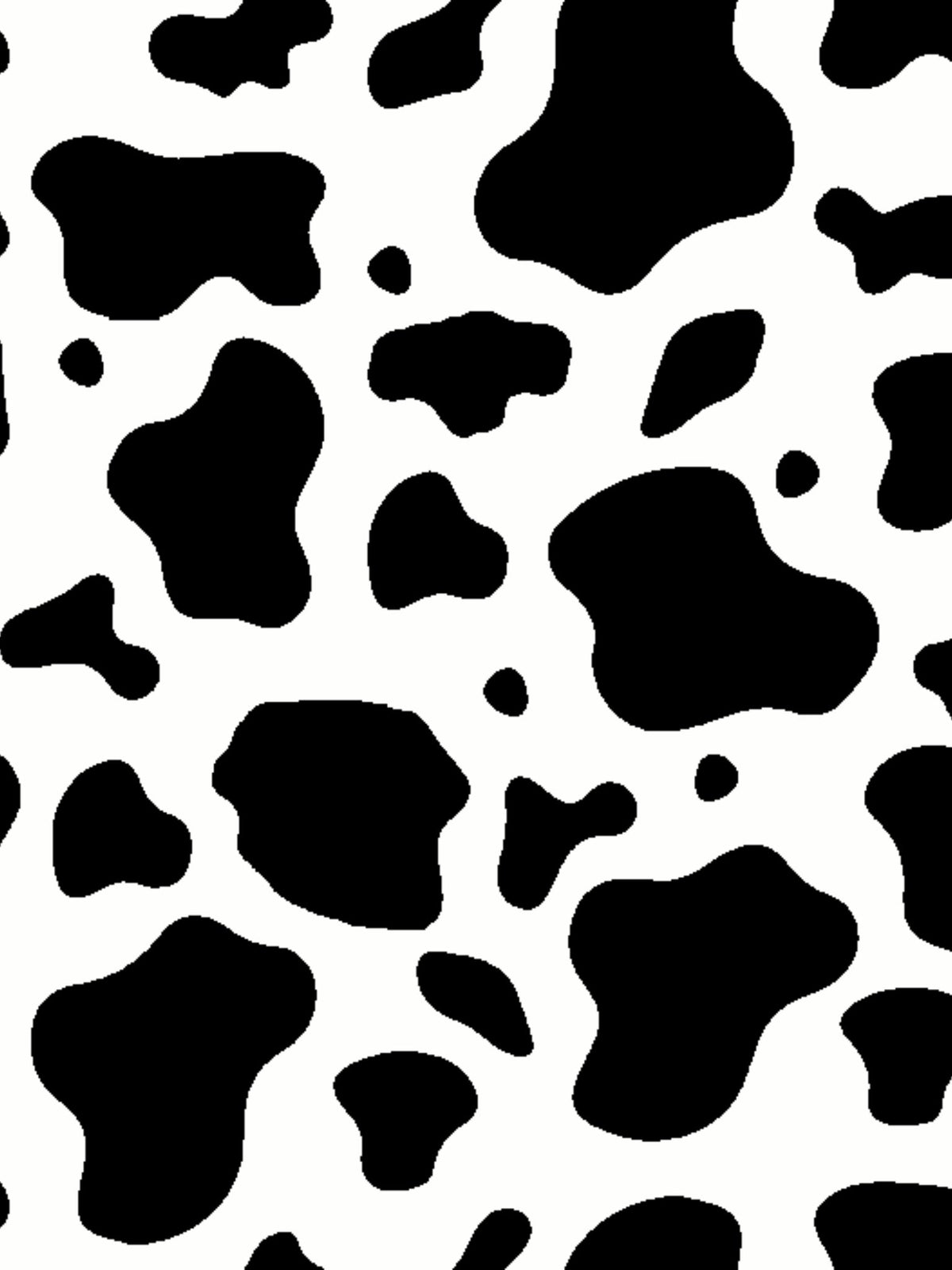 Girls "Luna II" Black with Cows Long Sleeve Performance Show Shirt