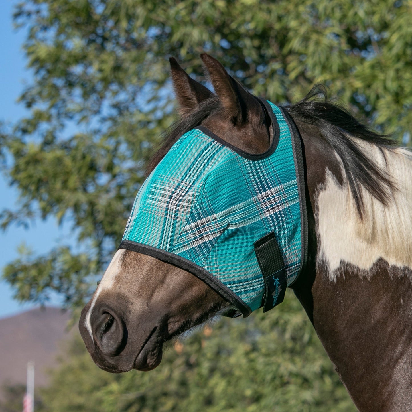 Fly Mask with 73% UV Protection - Open Top Design