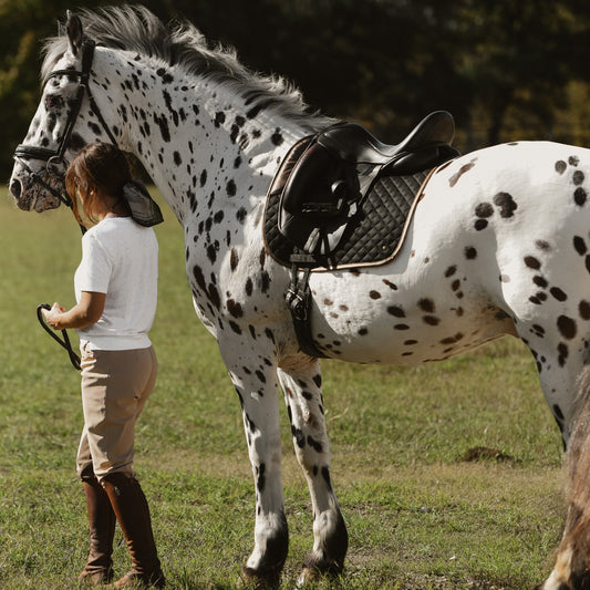 Dressage Pad, Black & Gold Leaf - End of season