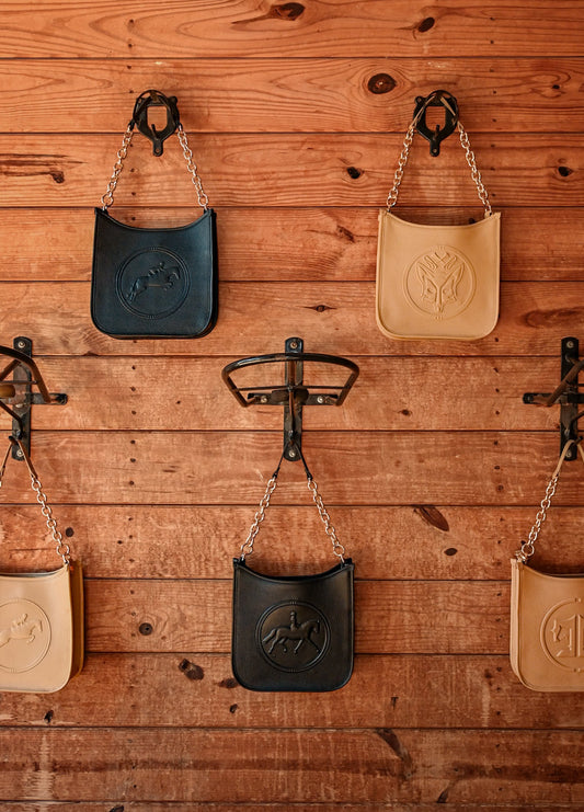 Middleburg Messenger, Dressage