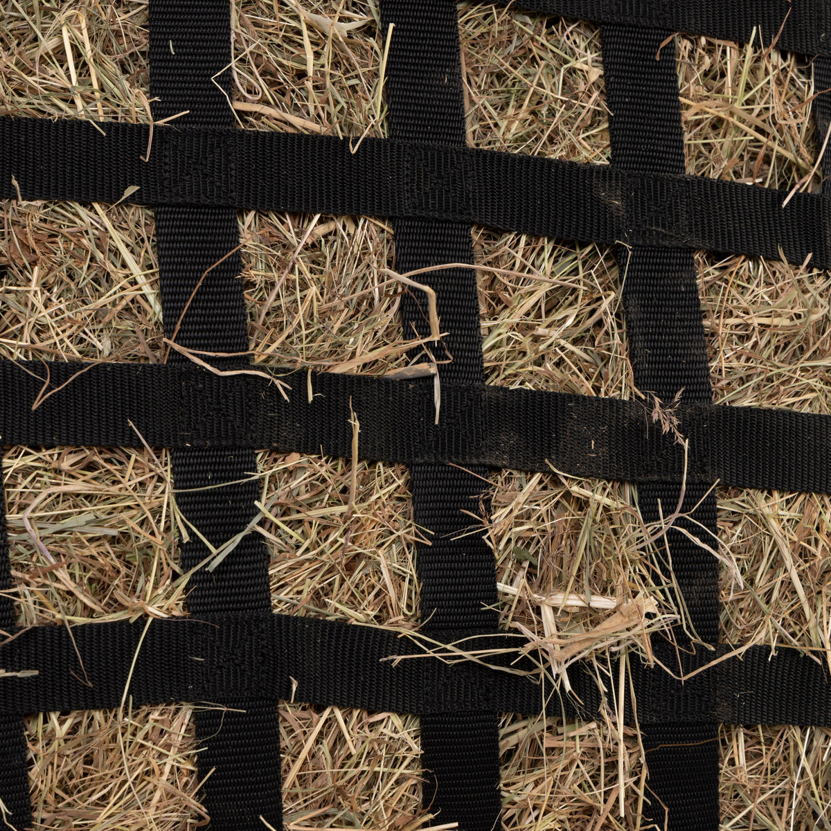 FreeGraze Slow Feed Web Hay Bag