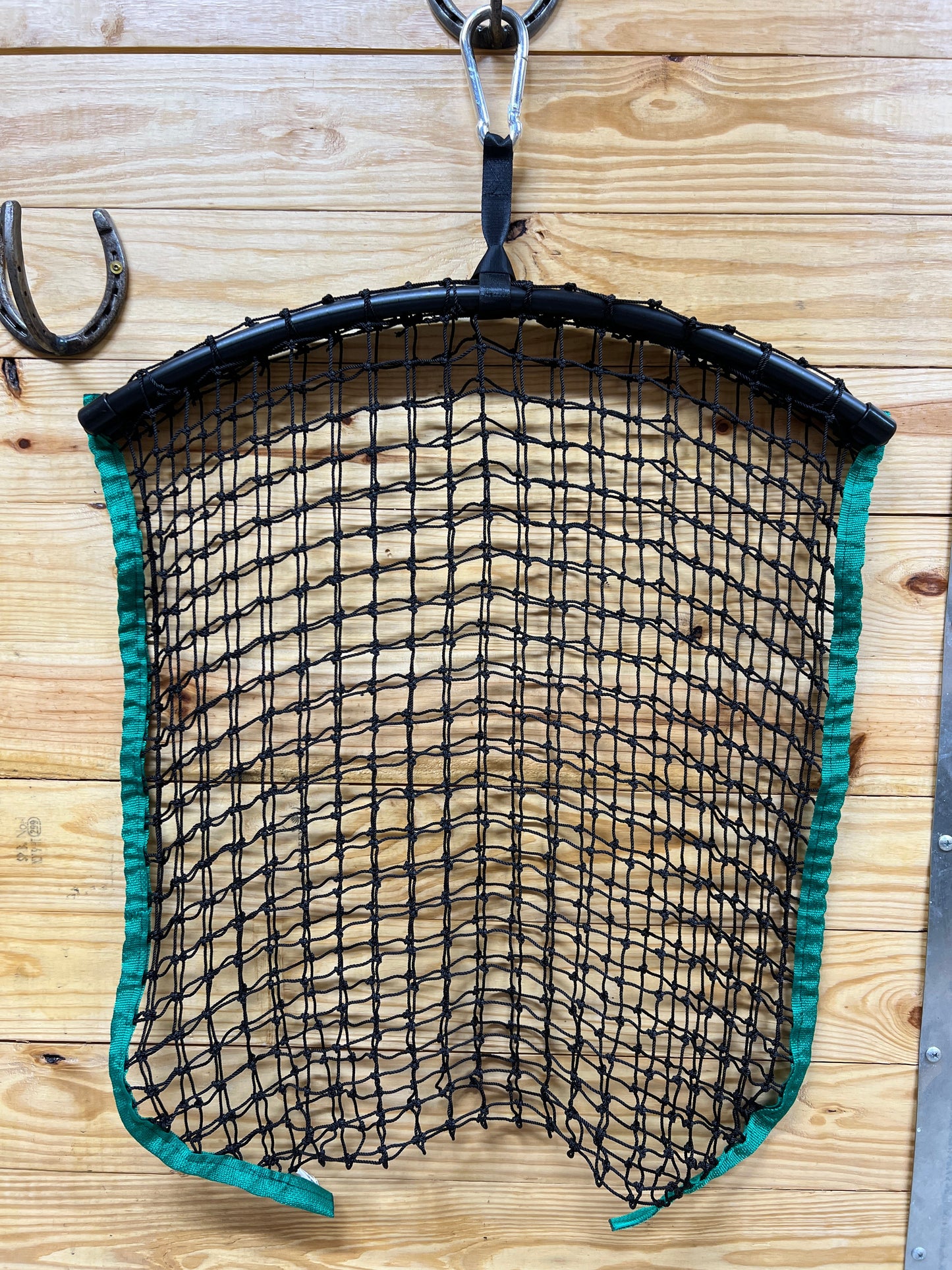 Regular Haynet