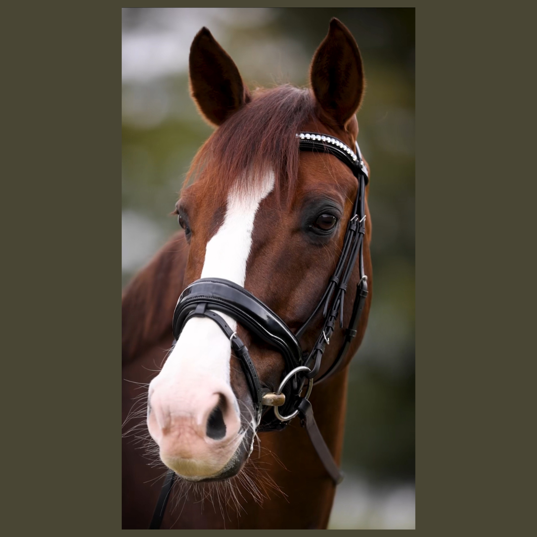 Bridles