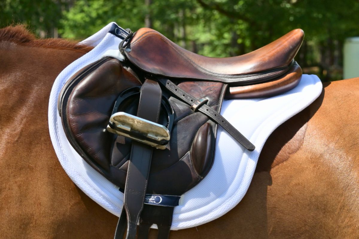 XC Mesh Saddle Pad with Quick Dry Cotton Lining in Navy, White or Black