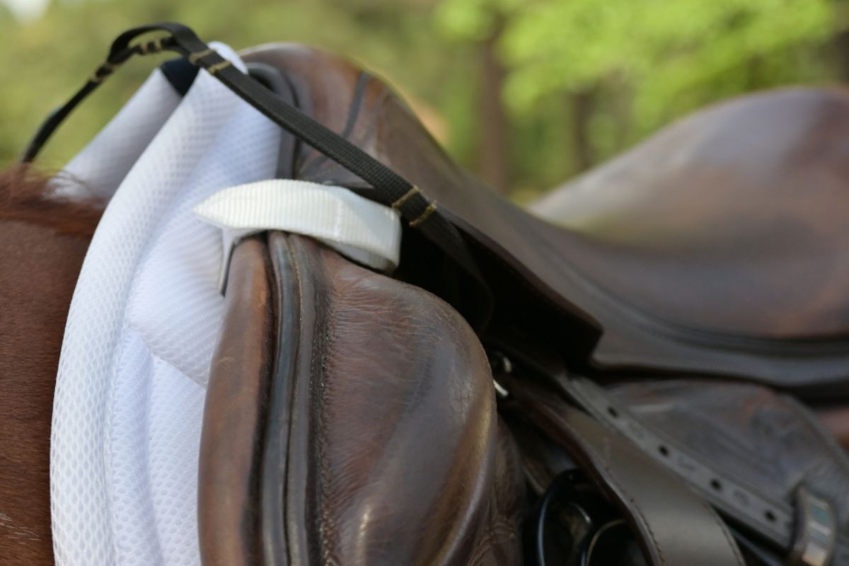 Jump Mesh Saddle Pad with Quick Dry Cotton Lining in Navy, White, or Black