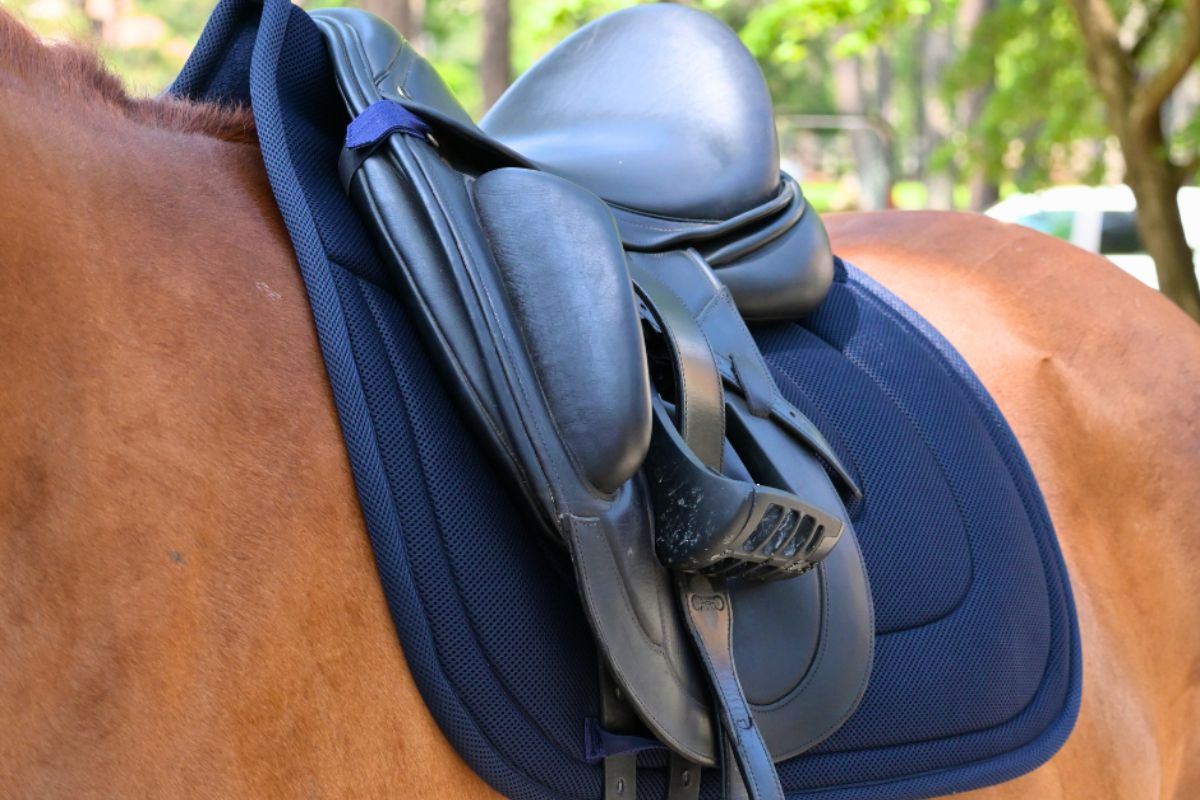 Dressage Mesh Saddle Pad with Quick Dry Cotton Lining in Navy, White or Black