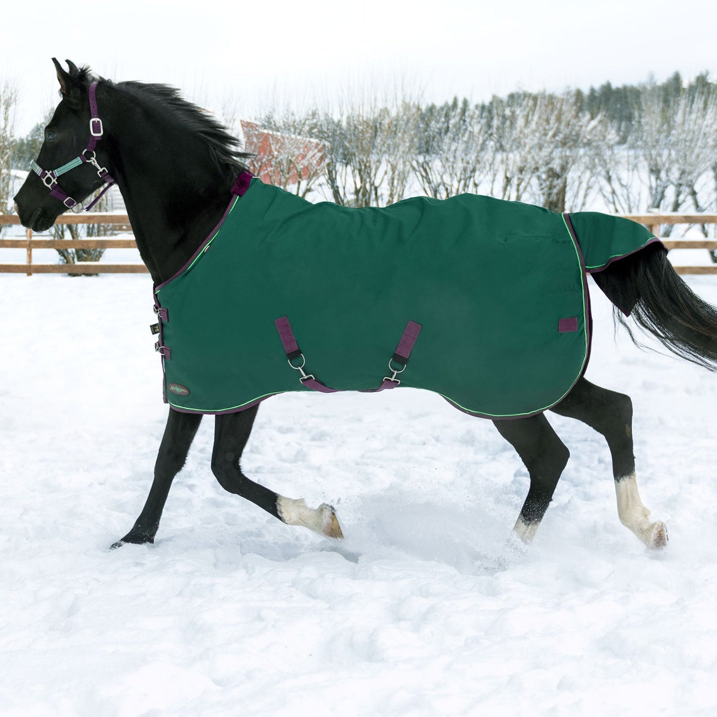 1200D Midweight 180g Horse Winter Turnout Blanket - Waterproof & Breathable