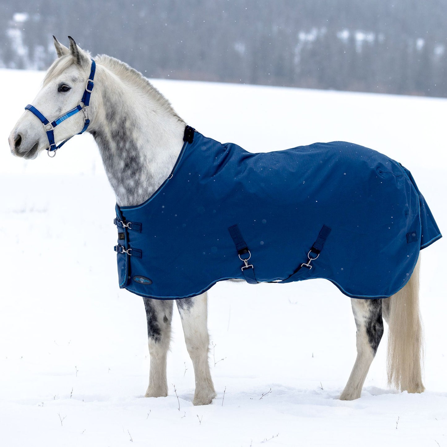 1200D Midweight 180g Horse Winter Turnout Blanket - Waterproof & Breathable