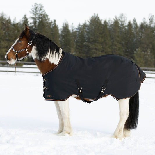 1200D 180G Medium Weight Waterproof & Breathable Draft Winter Turnout Blanket