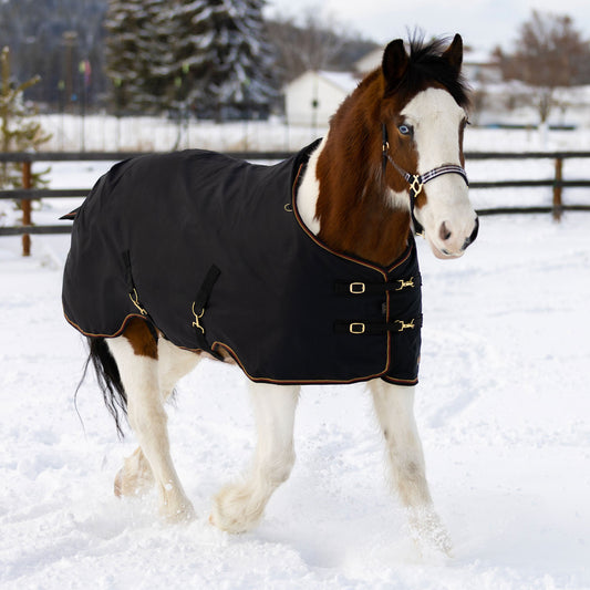 1200D Lightweight 80g Draft Horse Winter Turnout Blanket - Waterproof & Breathable