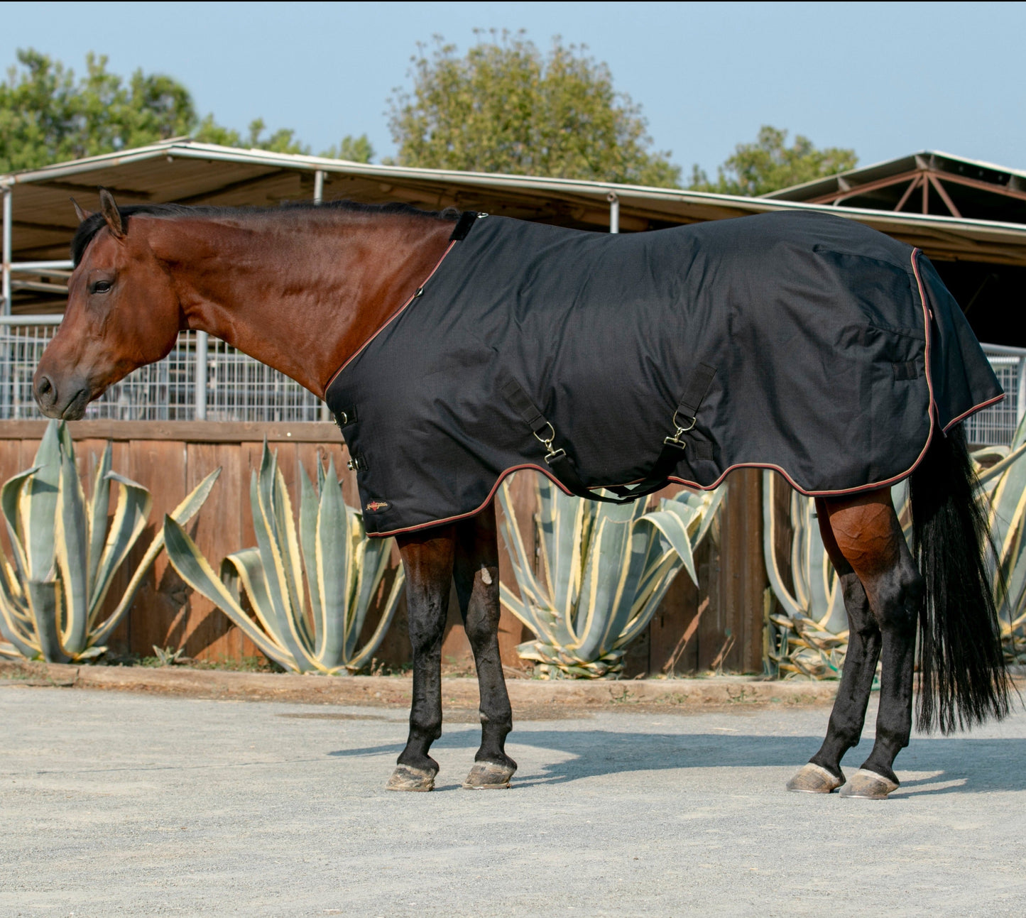 1200D Midweight 180g Horse Winter Turnout Blanket - Waterproof & Breathable