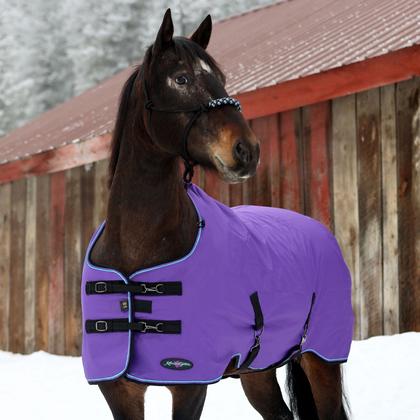 1200D Midweight 180g Horse Winter Turnout Blanket - Waterproof & Breathable