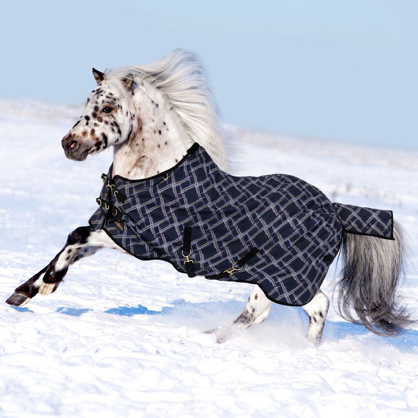 1200D Lightweight 80g Pony Winter Turnout Blanket - Waterproof & Breathable