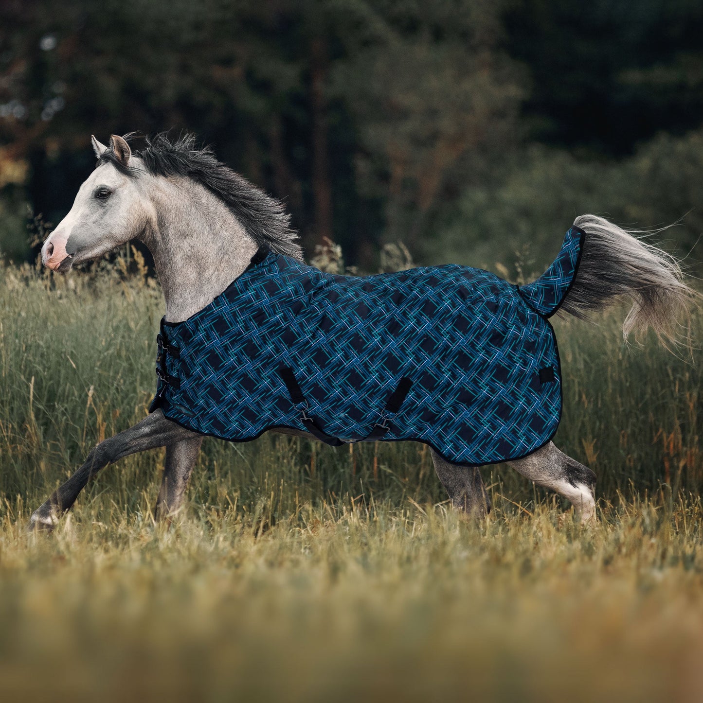 1200D Lightweight 80g Pony Winter Turnout Blanket - Waterproof & Breathable